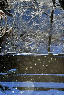 ダイヤモンドダスト出現　日光