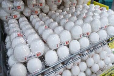 卵価格、秋以降値上がりへ