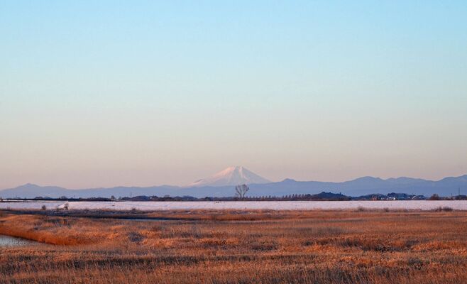 澄んだ空に顔を出した富士山