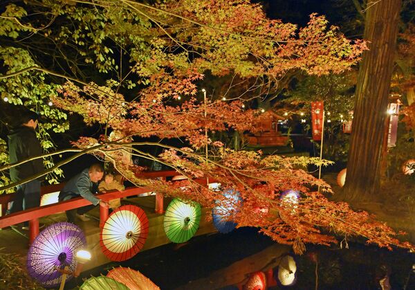 和傘とともに幻想的にライトアップされる紅葉