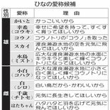 ひなの愛称、投票を　渡良瀬遊水地のコウノトリ　候補は雄、雌五つずつ