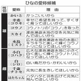 ひなの愛称、投票を　渡良瀬遊水地のコウノトリ　候補は雄、雌五つずつ