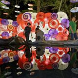 光の演出でおもてなし　日光・鬼怒川温泉街で「月あかり花回廊」開幕