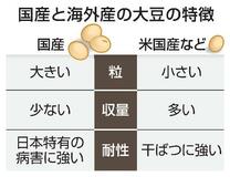 国産大豆には粒大きくする遺伝子