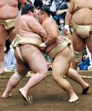 元大関朝乃山「１０勝以上目標」