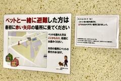 自身も避難所運営に協力