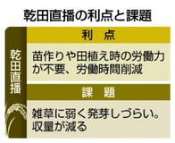 乾田直播 コメ栽培支援