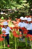 境内に地上の“花火”