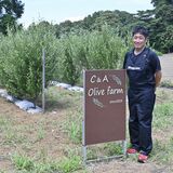 野木を拠点に「オリーブ外交」　葉を使ったビールや抹茶粉を商品化　自動車販売修理から異分野に挑戦