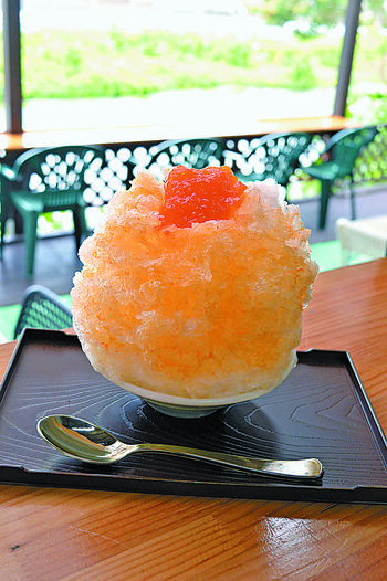 涼を味わう㊦ 天然氷のかき氷クールダウン 真夏のもふもふ｜ASPO特集