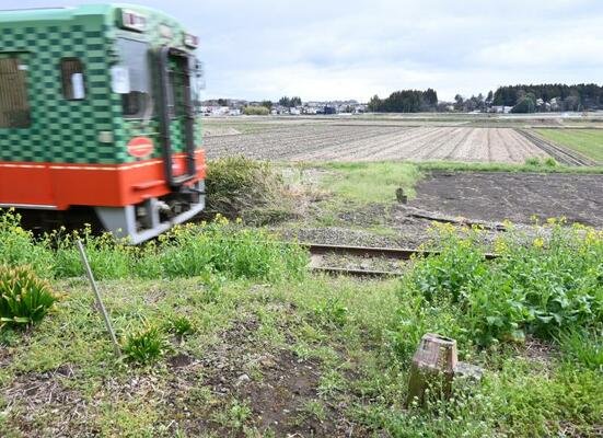 勝手踏切とみられる真岡鉄道の線路の通り道。地面が踏み固められている＝２日午後、益子町