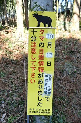 クマの目撃情報を受け、市が設置した看板
