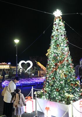 道の駅どまんなかたぬまのガーデンイルミネーション