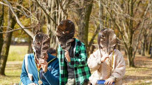 顔より大きなホウノキの葉。見つけたらお面にしよう