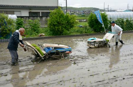 岩手の「奇跡の復興米」田植え 大阪、震災支援で14年から縁｜全国の