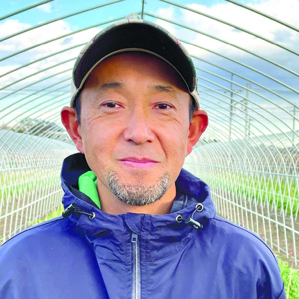 Sheba とろ～り 30袋（mikan農園さん）専用 乳酸菌1,500億個とザクロ果汁 お米の醗酵飲料 ANP71ザクロ | 金沢発の