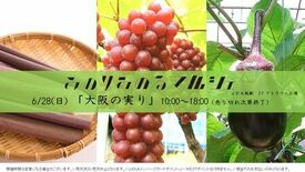 JA全農×JR西日本 地域振興プロジェクト JR大阪駅で大阪の旬が集結
