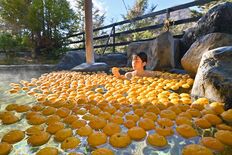 鬼怒川・川治温泉街で「ゆず湯風呂」　16、17日に宿泊施設など22カ所で