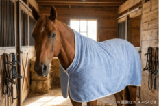 愛犬向け吸水タオルの次は“馬専用”へ　日繊商工、「馬専用マントタオル（…