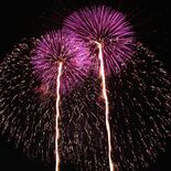 矢板の花火大会、誰が何のために始めたの？　“復活”経て今年は中止…有志…