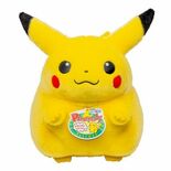 ポケモン３０周年を記念して関連商品　2026年2月28日（土）新発売