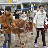校内で飼育「エミリー」が牧場へ　那須・学びの森小で卒業式、別れ惜しむ