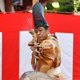 「料理の神様」に奉納　３年ぶり庖丁式　小山の高椅神社