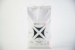 ゆうだい21 最多金賞