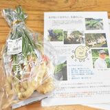 中学生がショウガの魅力をＰＲ　那須町教育相談室と農家がコラボ商品販売