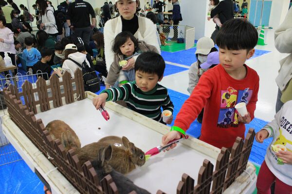 ウサギに餌やりをする子どもたち