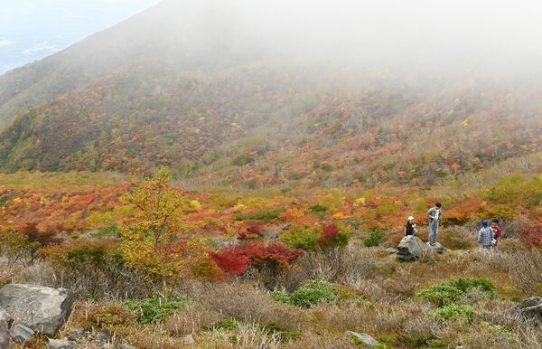 牛ケ首へ向かう登山道周辺の紅葉