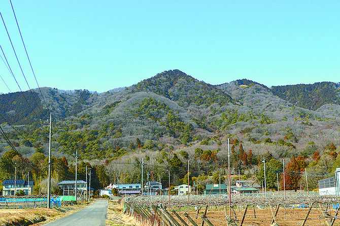 大平町ぶどう団地付近からの晃石山