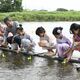 小山・思川で夏の風物詩「流しびな」　浴衣姿の子どもたち、人形に願い込める