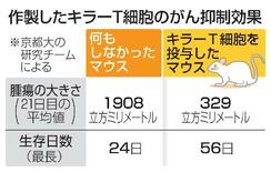 ｉＰＳで固形がん抑制細胞作製