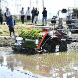 春の陽気、大田原で一足早い田植え　「とちぎの星」など40ヘクタール、自…