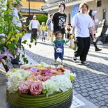 店先彩るトルコギキョウ　足利の石畳通りで花手水を展示　あすまで