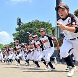 小学生球児の“夏”本番　県学童野球、熱戦スタート