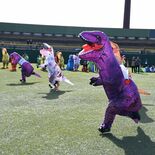 恐竜たちが「大暴れ」 大玉転がし、綱引き、30メートル走 宇都宮でティ…