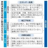 【参院決算委】首相、中東対応踏み込まず