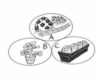 １分間心理ゲーム