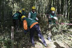 身近な自然に関心を