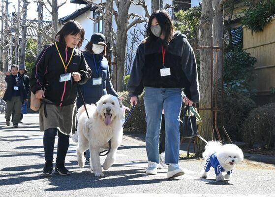 犬の散歩をするボランティアと子どもたち