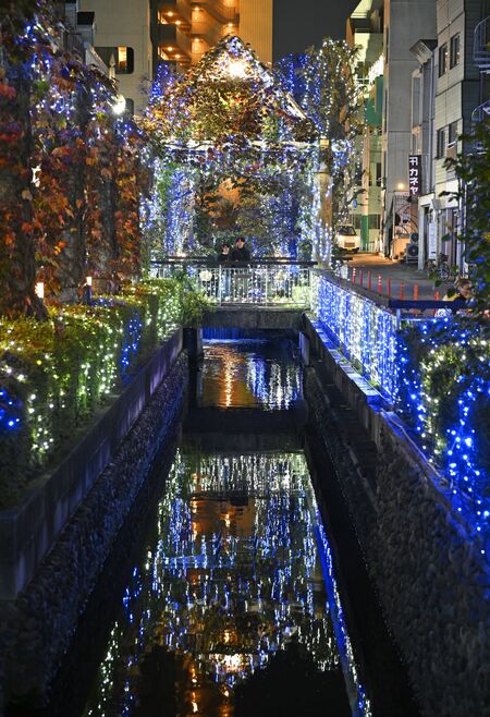 釜川を彩るイルミネーション＝20日午後５時15分、宇都宮市曲師町