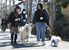 犬の散歩をするボランティアと子どもたち