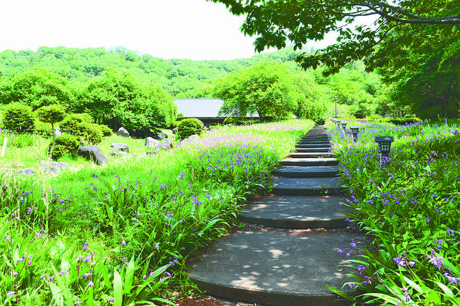 万葉集で詠まれた花や樹木で造られた万葉庭園。奥には「万葉館」