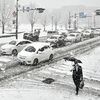 宇都宮、真岡など11市町に大雪警報