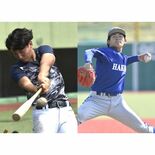 関甲新学生野球春季１部リーグ あす開幕　全国への切符懸け、白鴎大と作新…