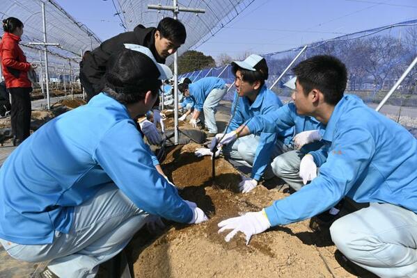 ブドウの苗木の定植作業を行う生徒ら＝宇都宮市