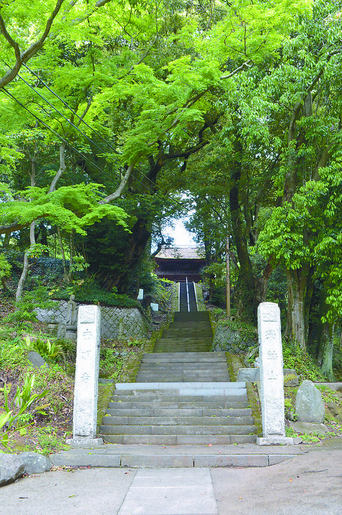 上り坂に苦戦しながら、新緑に染まった西明寺に到着（午前11時40分ごろ）
