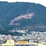 山肌が突然むき出し、崩落か　花粉対策で計画的な森林整備　広葉樹などへ転…